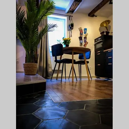 Ferienwohnung Un Petit Vintage A Colmar Exterior foto