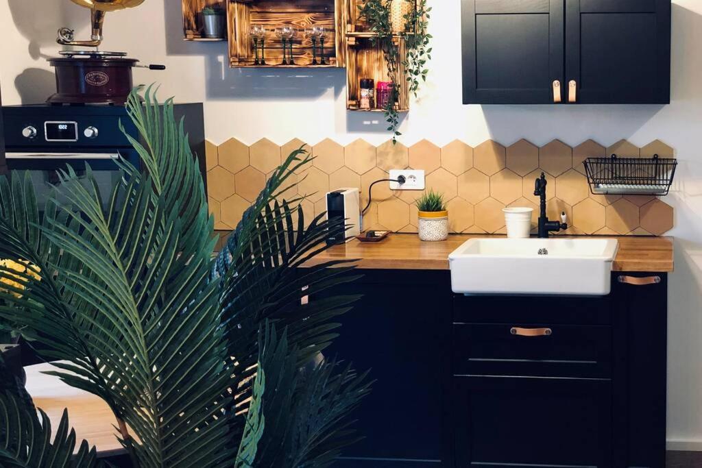 Apartment Un Petit Vintage A